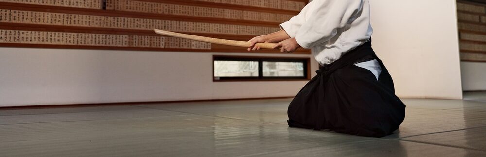 aikibudo