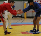 deux pratiquants de sambo